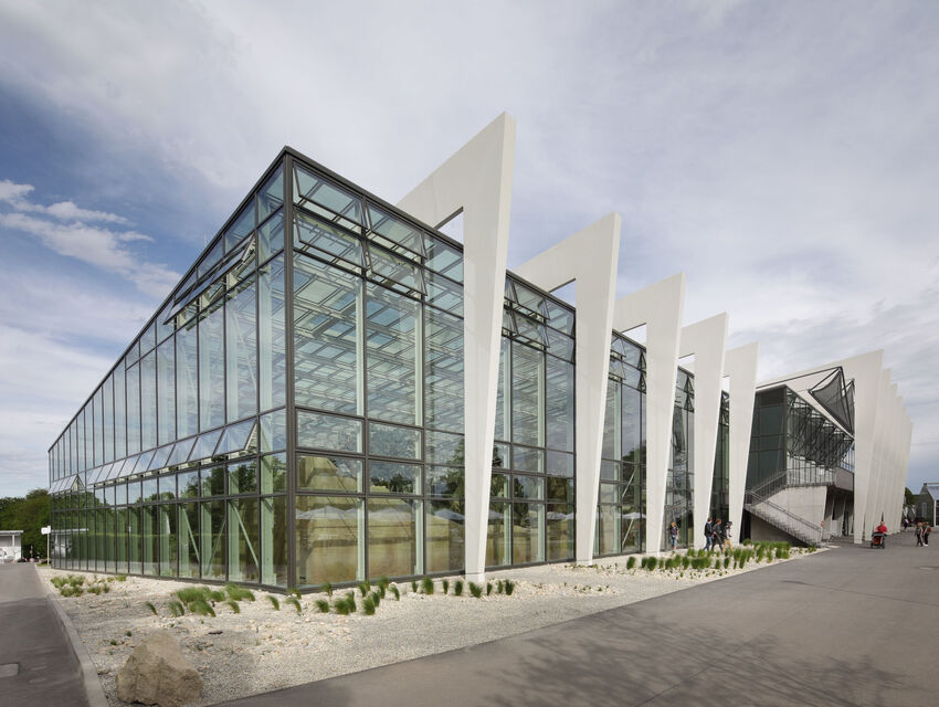 Danakil Klimazonenwelt