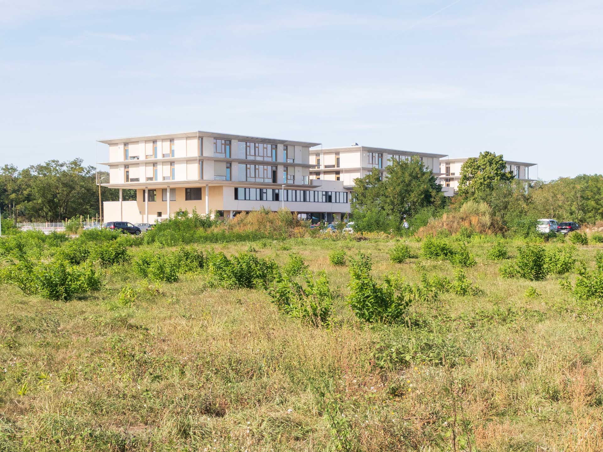 Educational Building element-i