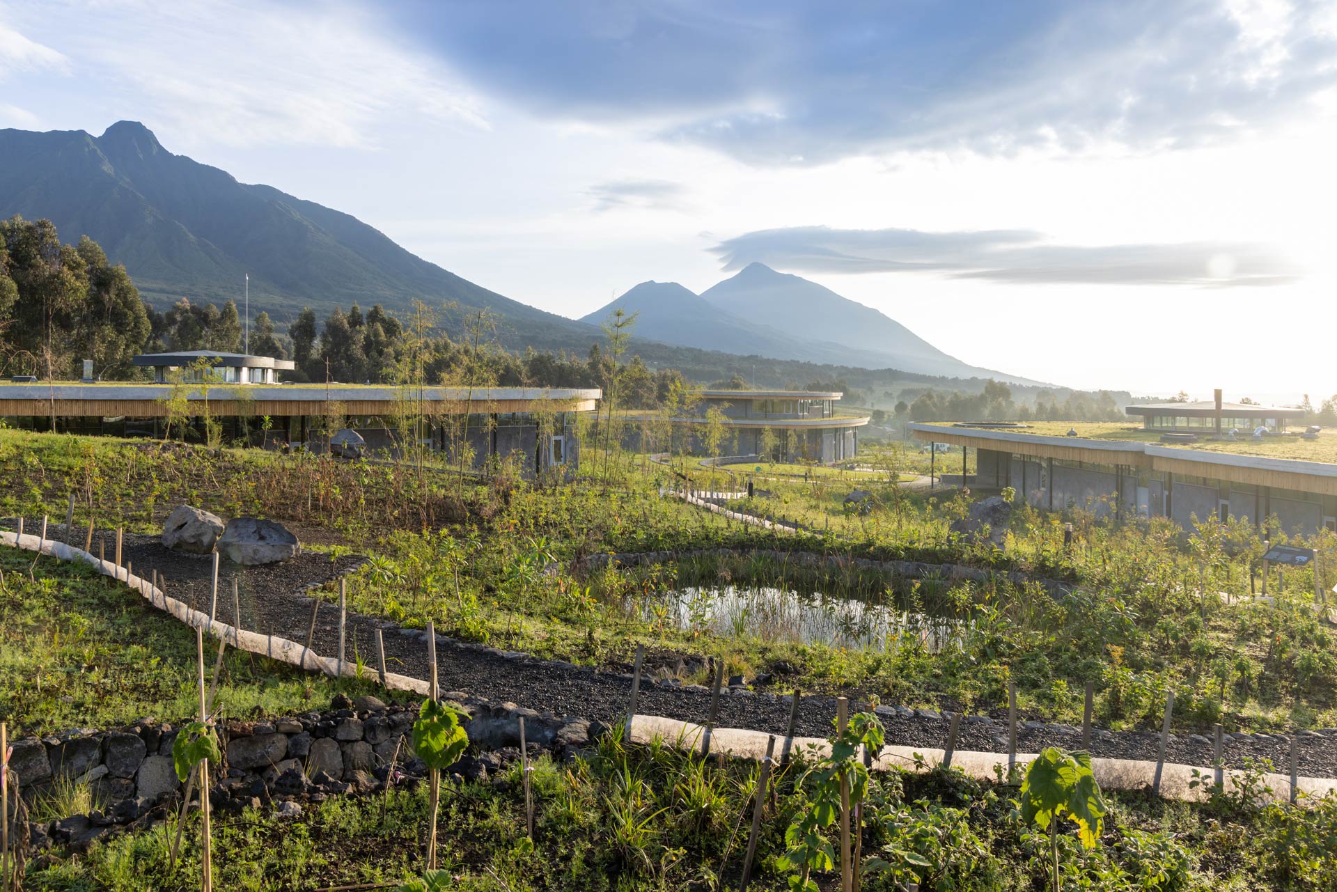 Ellen DeGeneres Campus – Dian Fossey Gorilla Fund