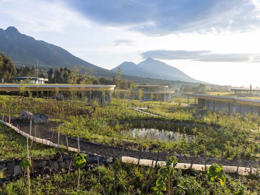 Ellen DeGeneres Campus – Dian Fossey Gorilla Fund