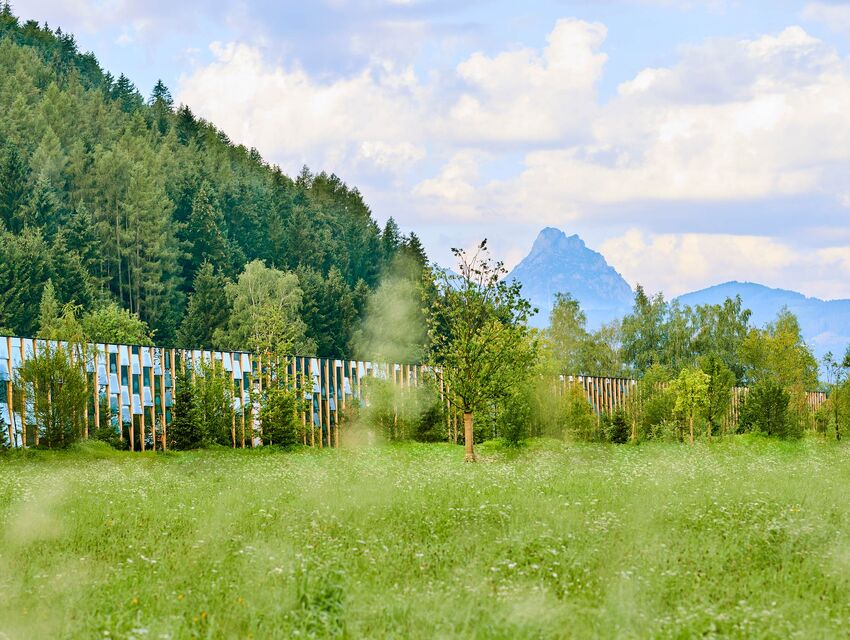 Grüne Erde Welt – Besucherzentrum + Produktion