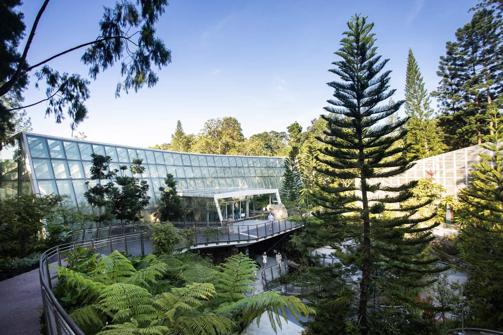 Cool House at the National Orchid Garden