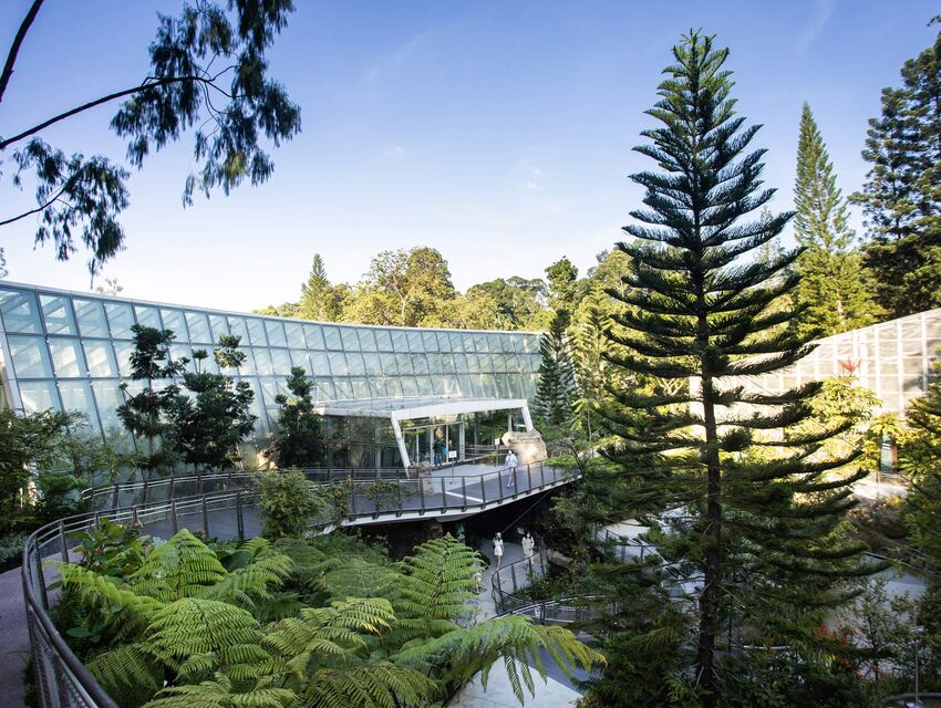 Cool House at the National Orchid Garden
