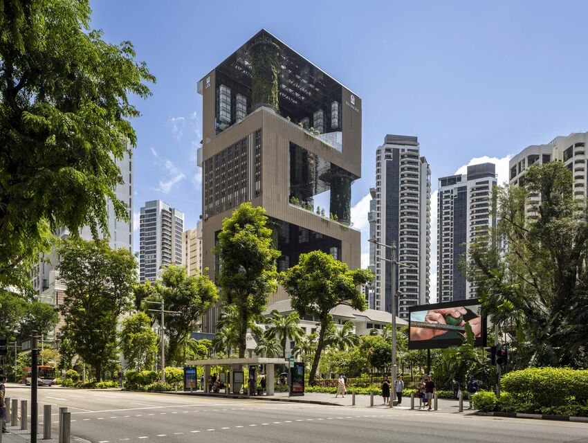 Pan Pacific Orchard