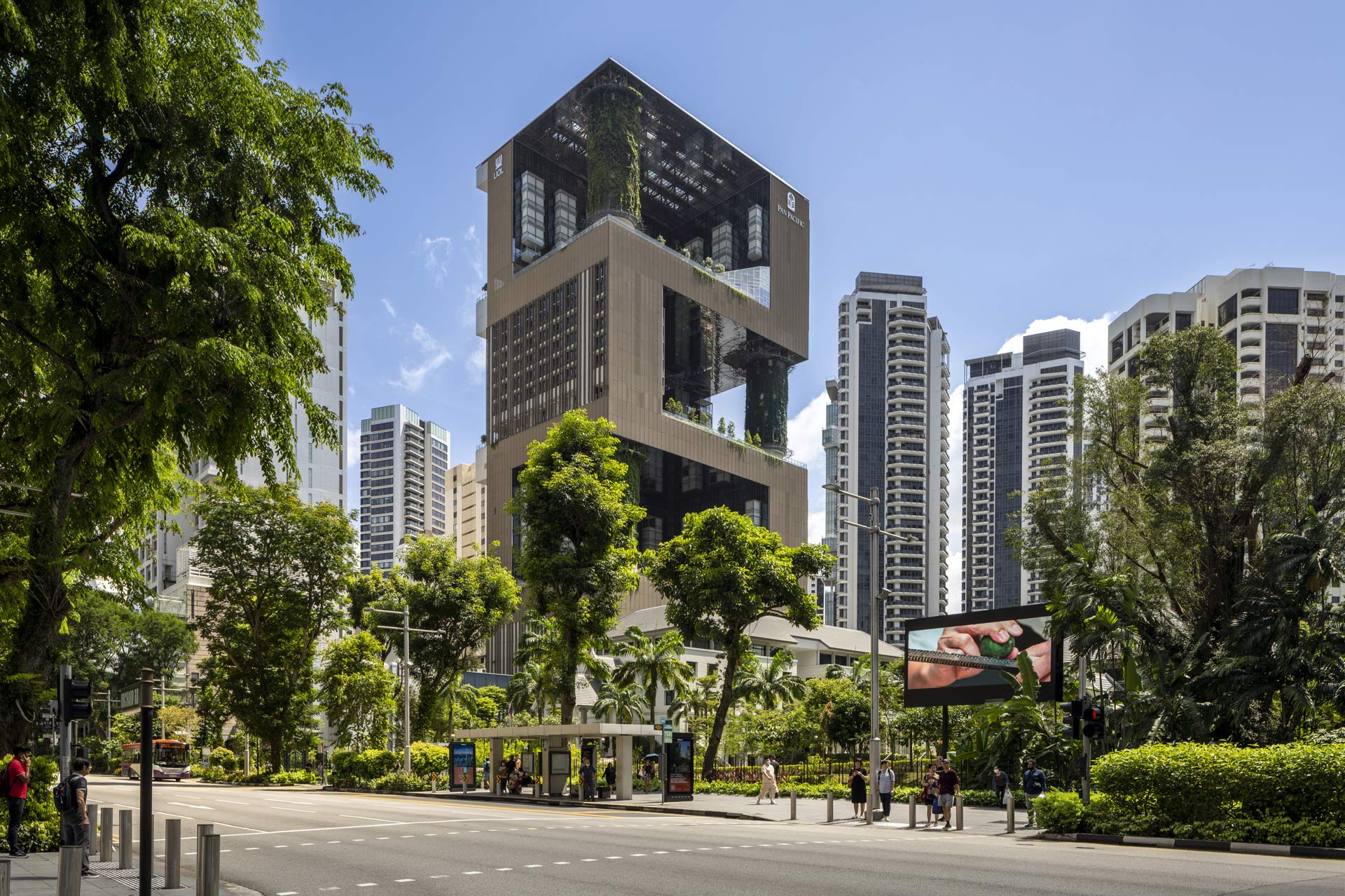 Pan Pacific Orchard