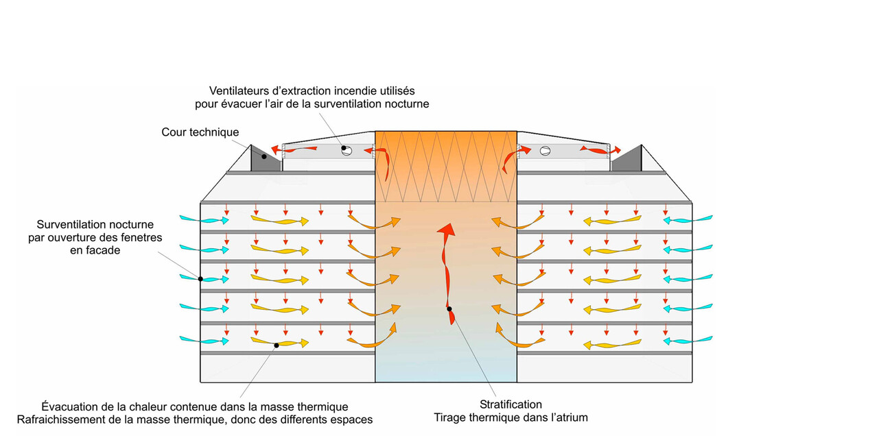 Centre de Recherche en Biomédecine à Strasbourg (CRBS)