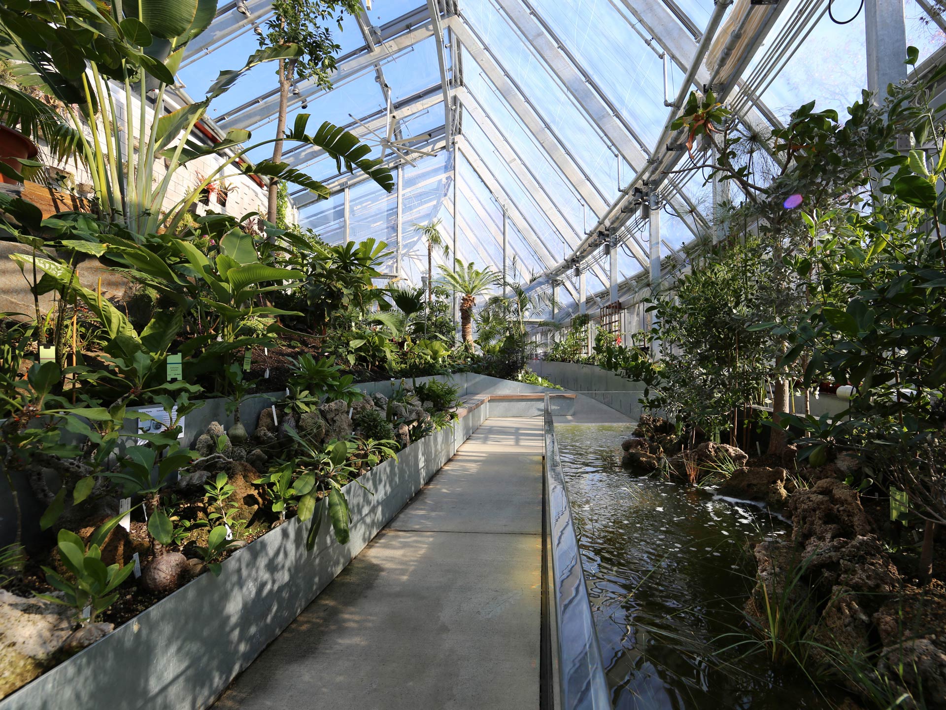 Global Flora Margaret Ferguson Greenhouses